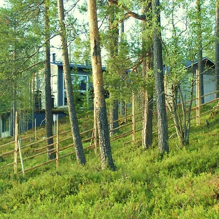 The Little Elk * Ruka